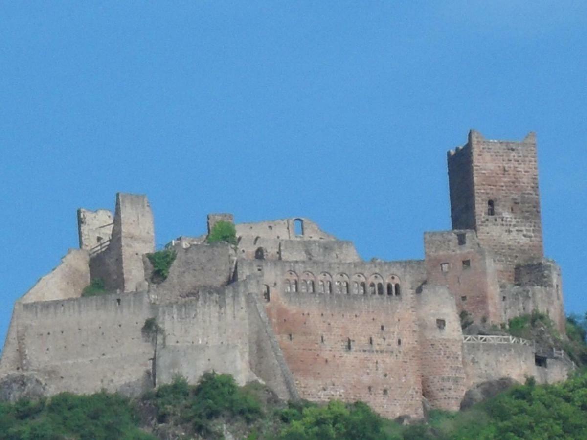 Chez Fretz Daire Ribeauvillé Dış mekan fotoğraf